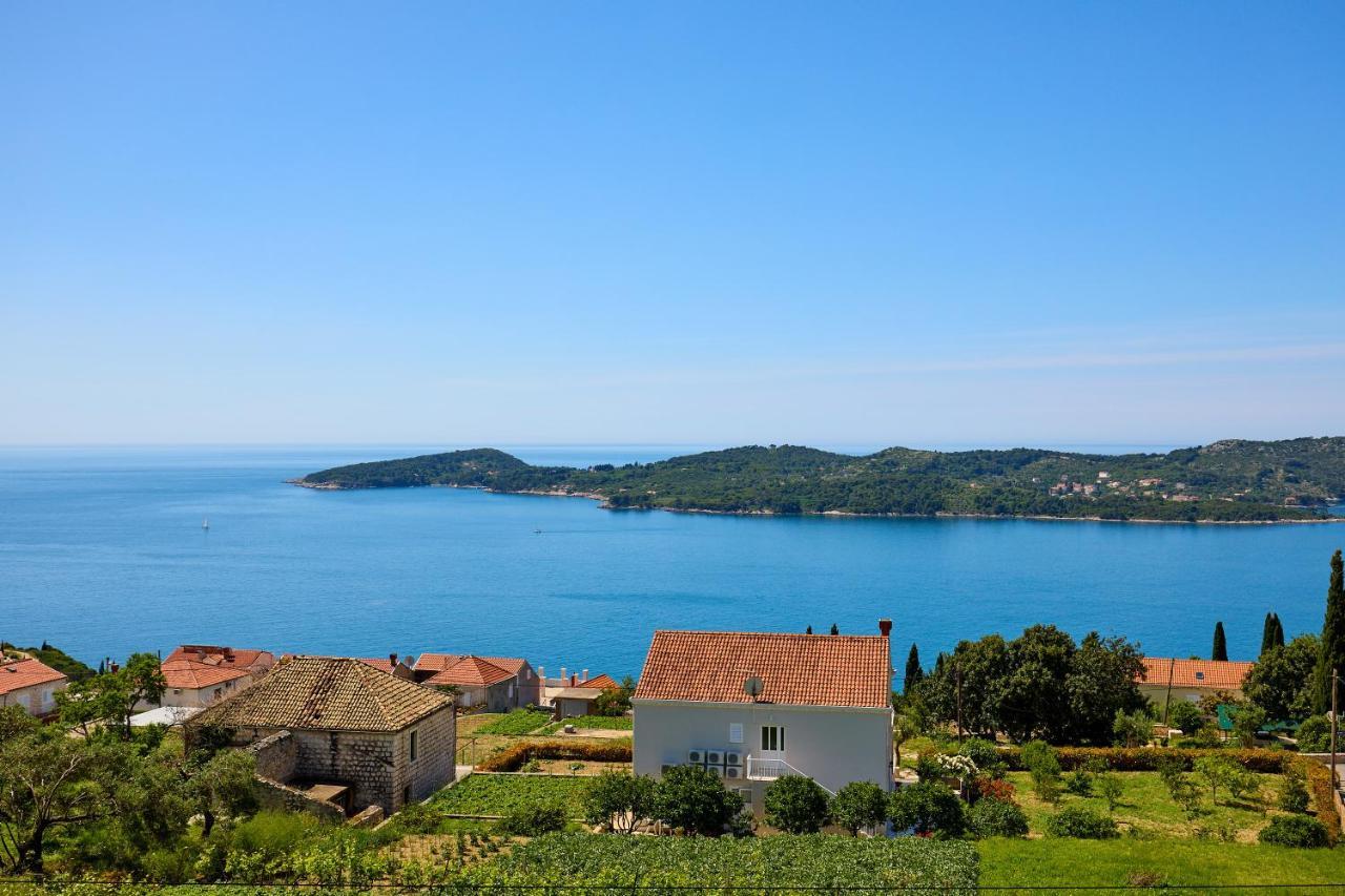 Helton Seaview Apartments Orašac Eksteriør billede
